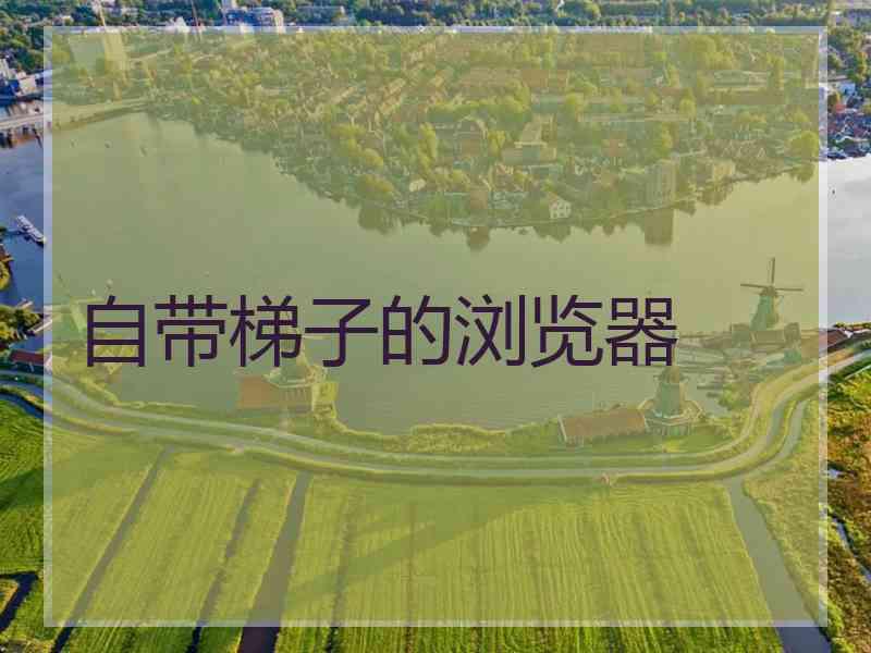 自带梯子的浏览器