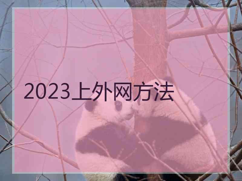 2023上外网方法