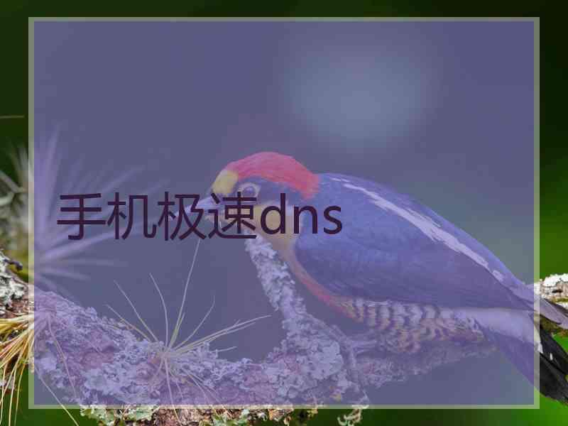 手机极速dns