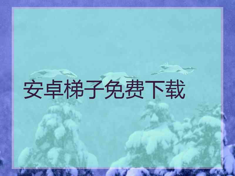 安卓梯子免费下载
