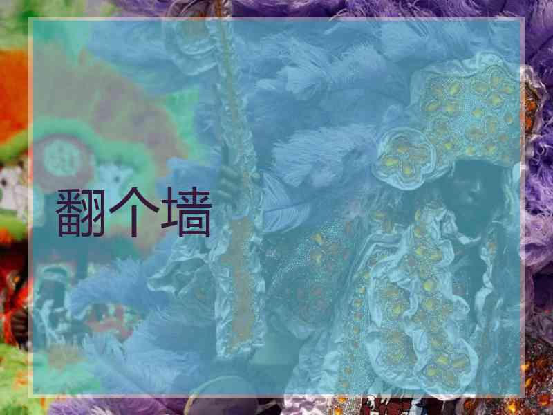 翻个墙
