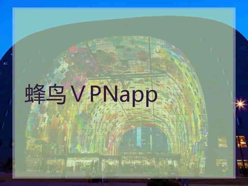 蜂鸟ⅤPNapp