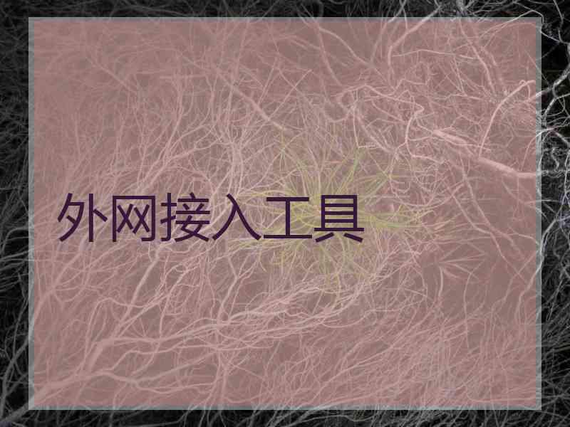 外网接入工具