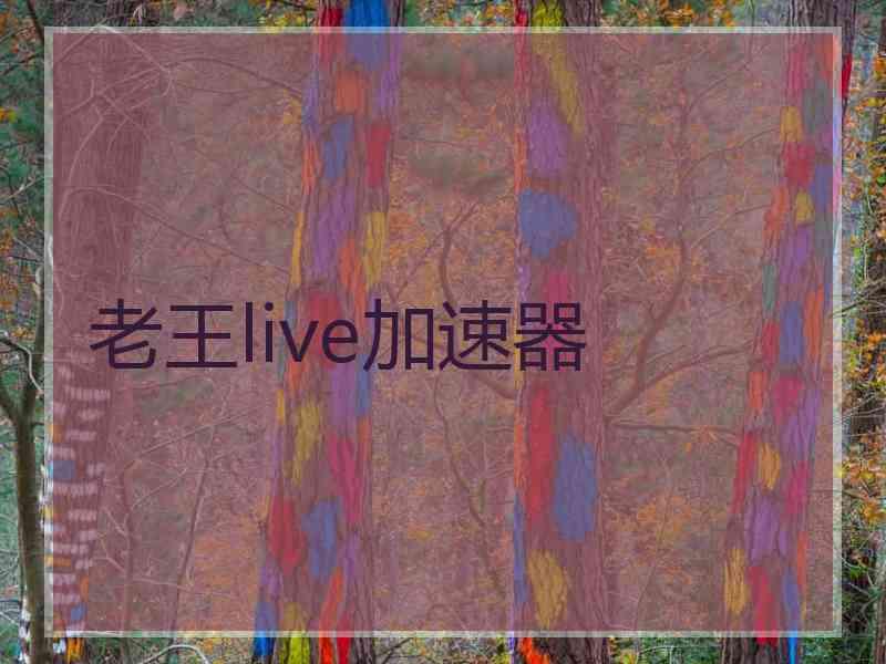 老王live加速器