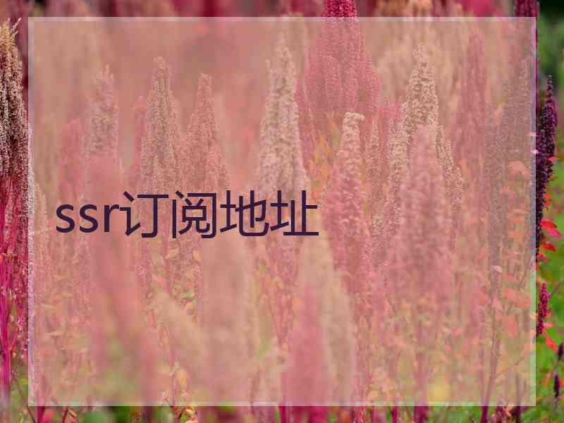 ssr订阅地址
