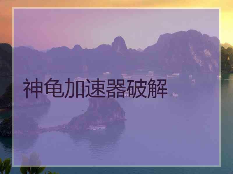 神龟加速器破解