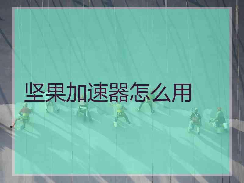 坚果加速器怎么用