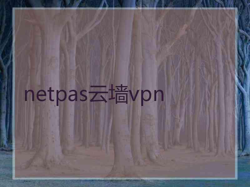 netpas云墙vpn
