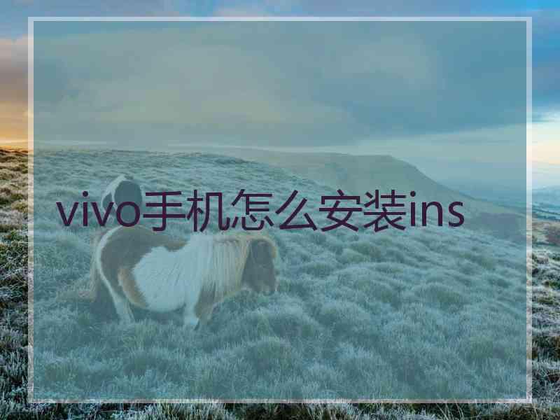 vivo手机怎么安装ins