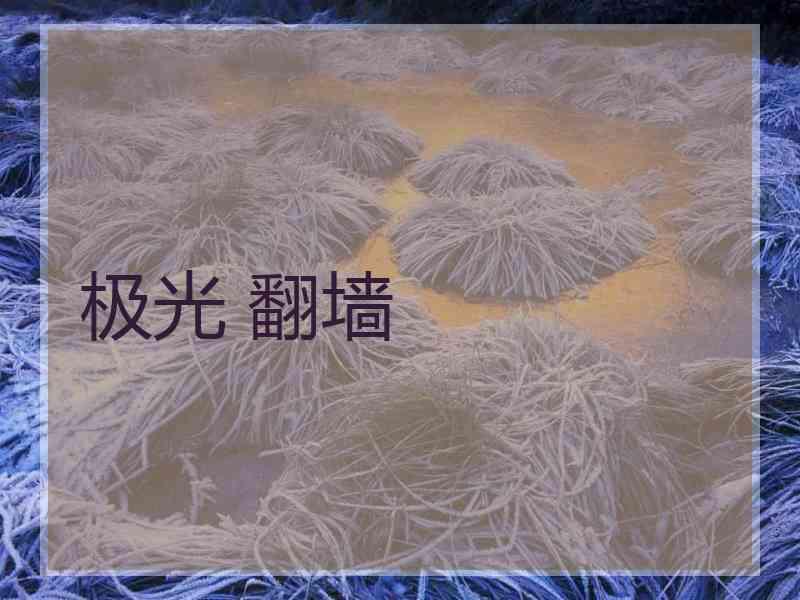 极光 翻墙