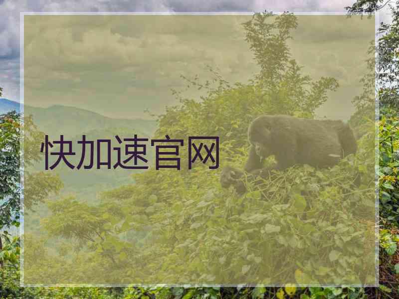 快加速官网