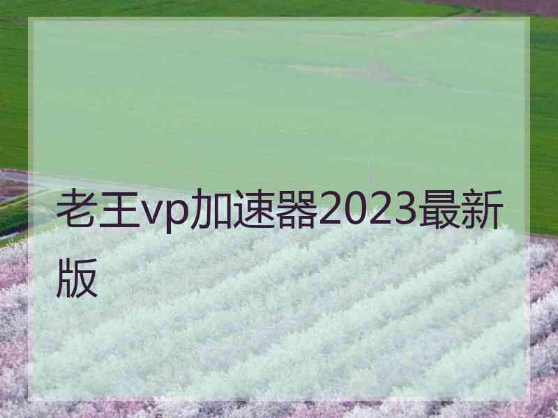 老王vp加速器2023最新版