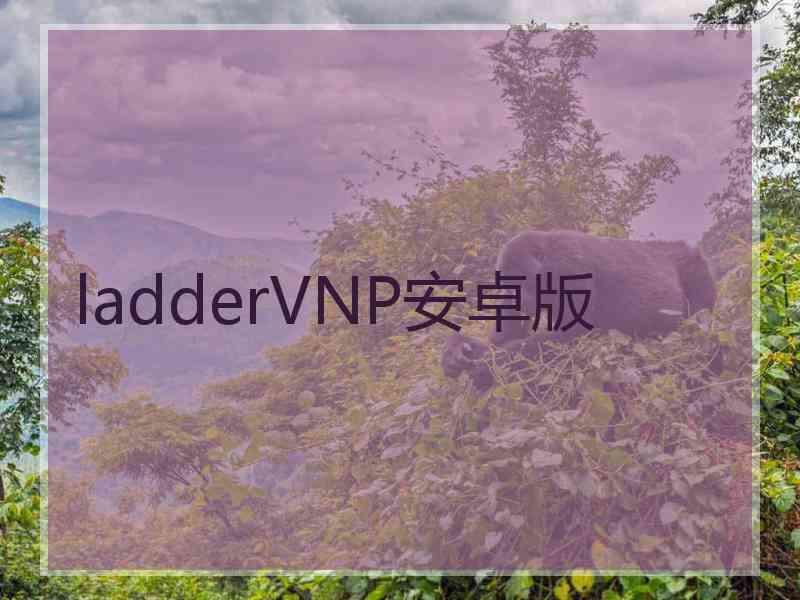 ladderVNP安卓版