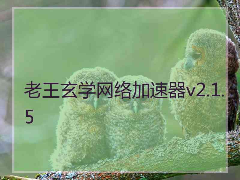 老王玄学网络加速器v2.1.5