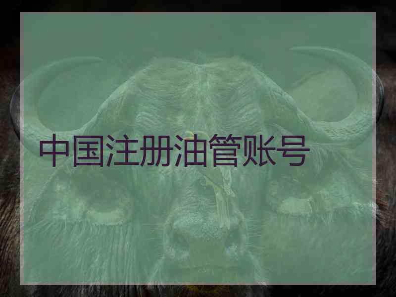 中国注册油管账号