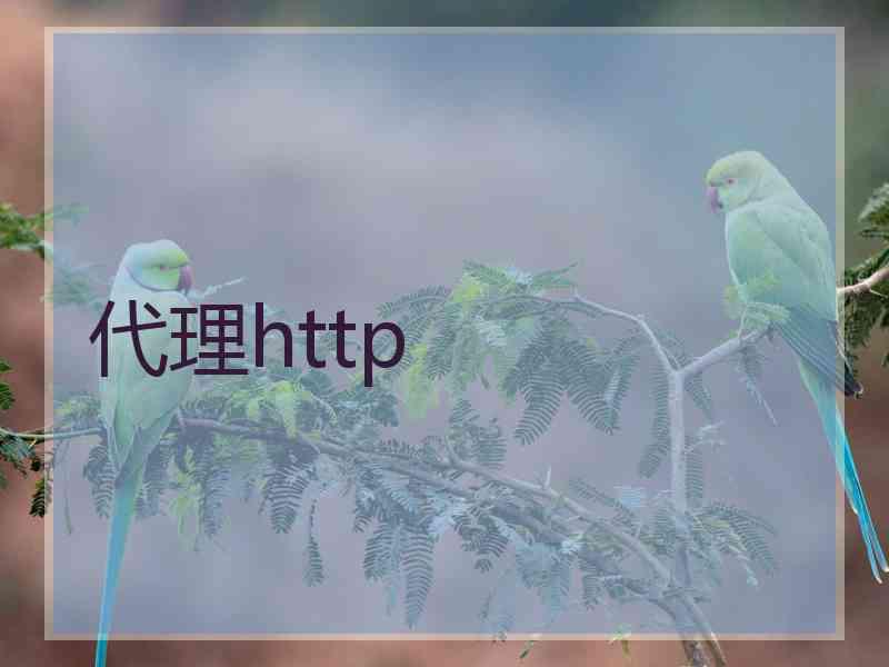 代理http