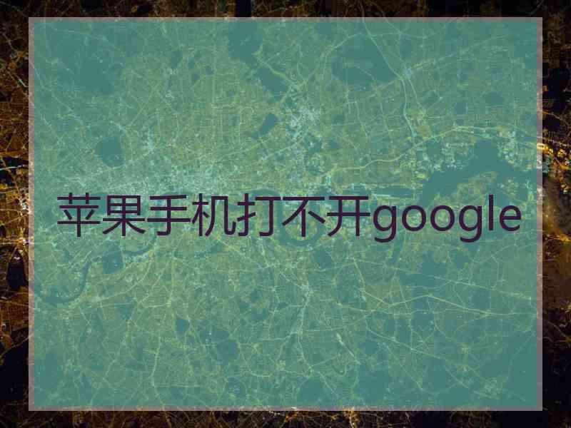 苹果手机打不开google