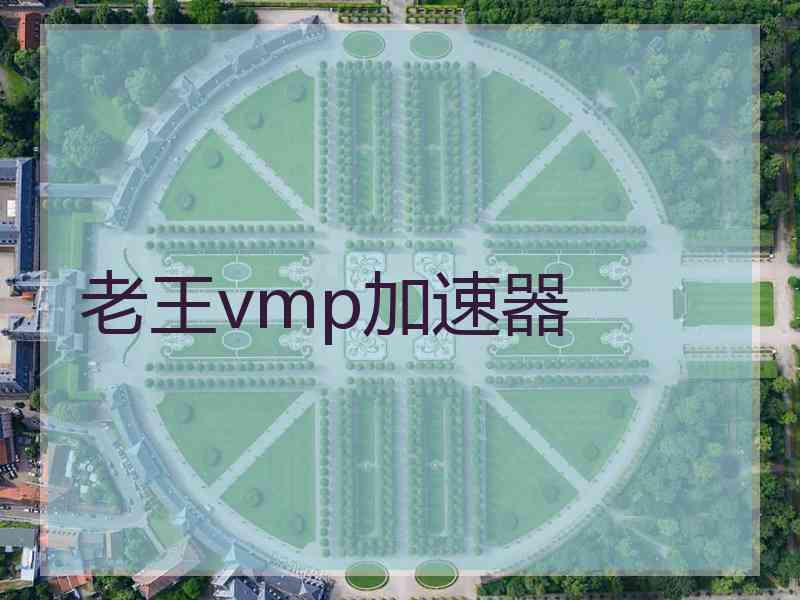 老王vmp加速器