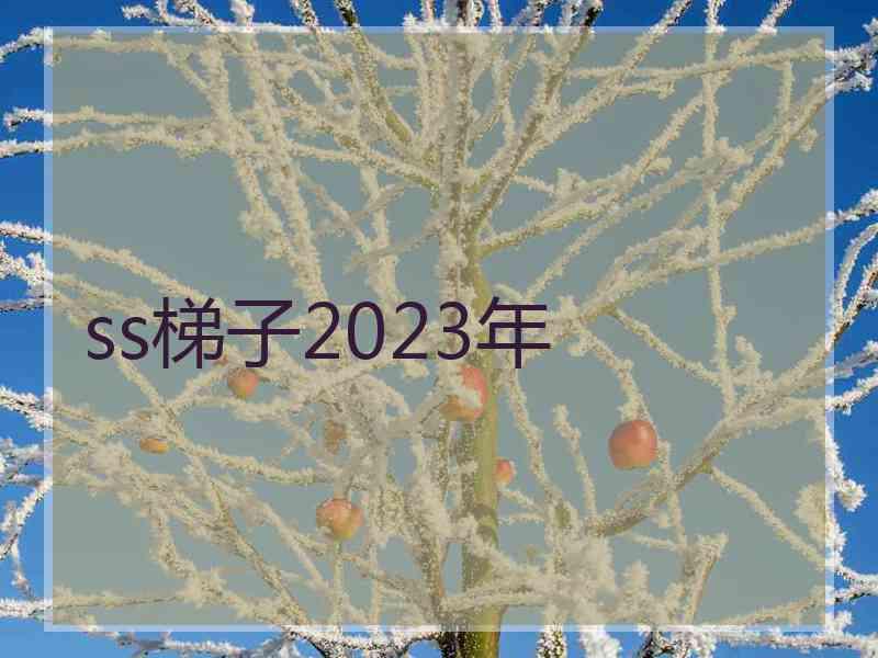 ss梯子2023年