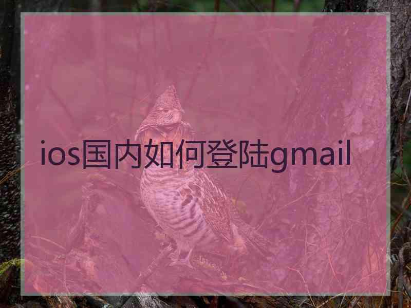 ios国内如何登陆gmail