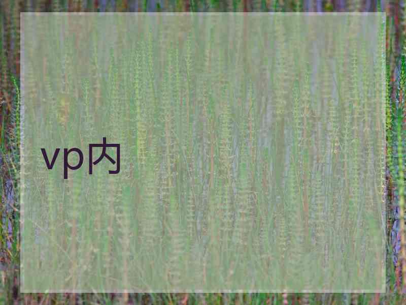 vp内