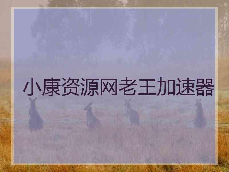 小康资源网老王加速器
