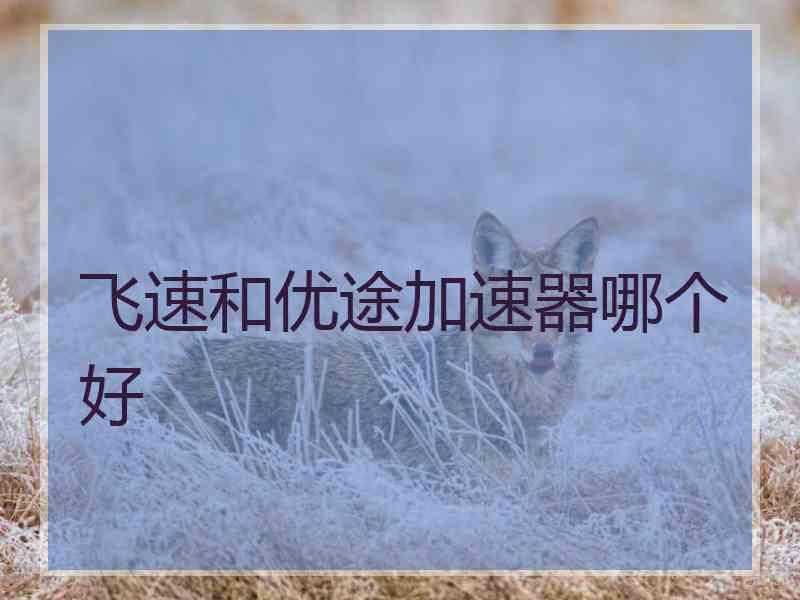 飞速和优途加速器哪个好