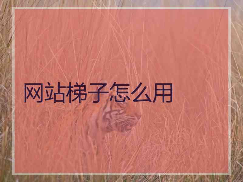 网站梯子怎么用