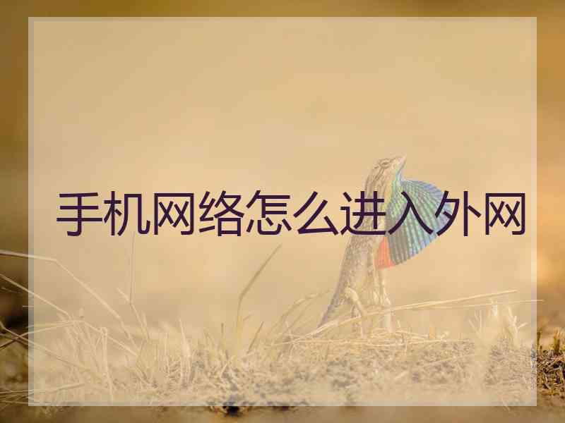 手机网络怎么进入外网