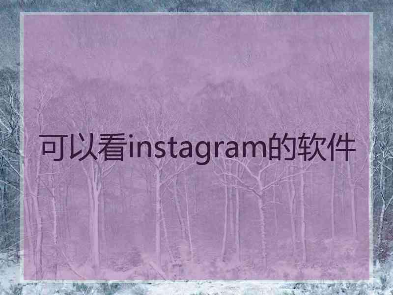 可以看instagram的软件