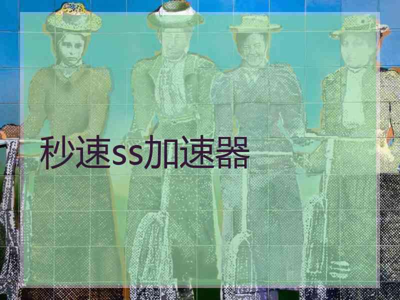 秒速ss加速器