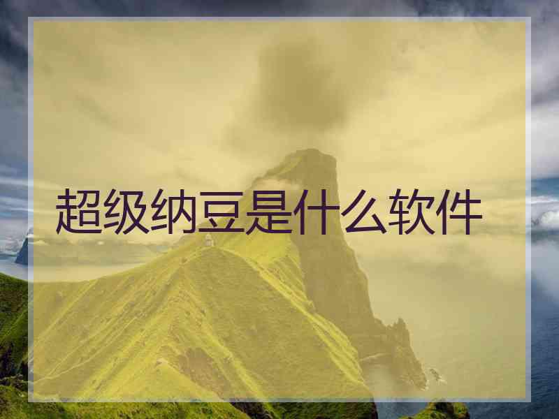 超级纳豆是什么软件