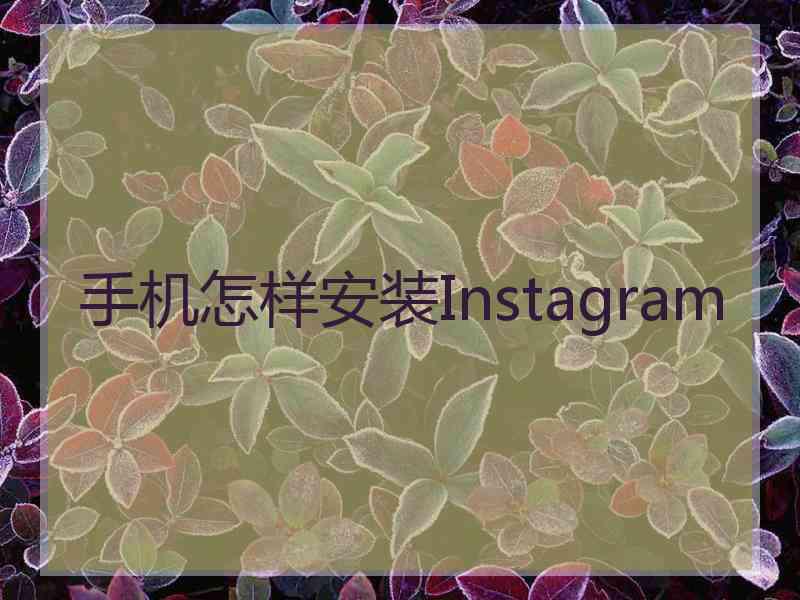 手机怎样安装Instagram