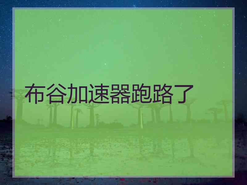 布谷加速器跑路了