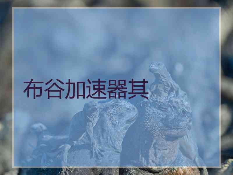 布谷加速器其