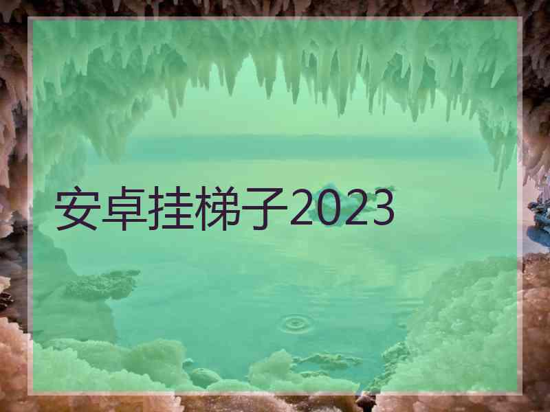 安卓挂梯子2023
