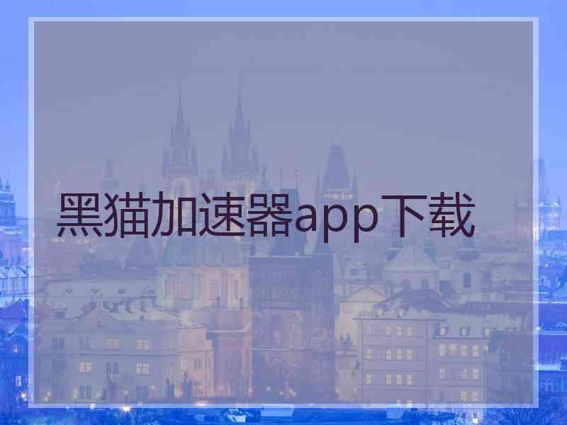 黑猫加速器app下载