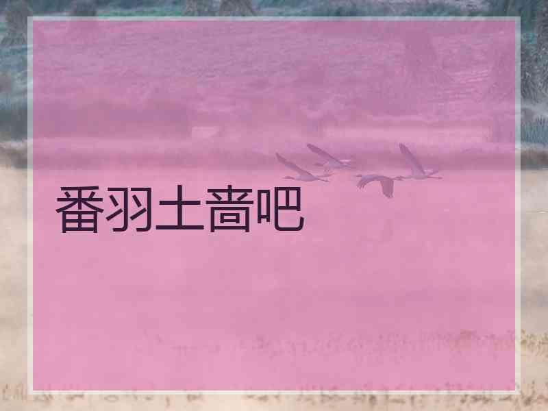 番羽土啬吧