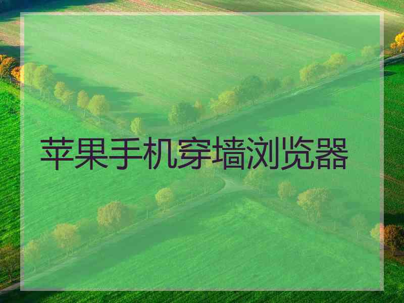 苹果手机穿墙浏览器