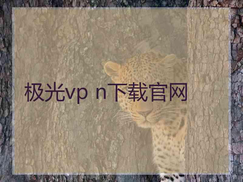 极光vp n下载官网