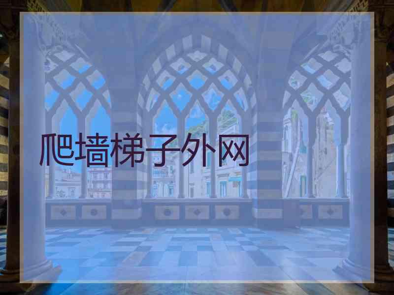 爬墙梯子外网