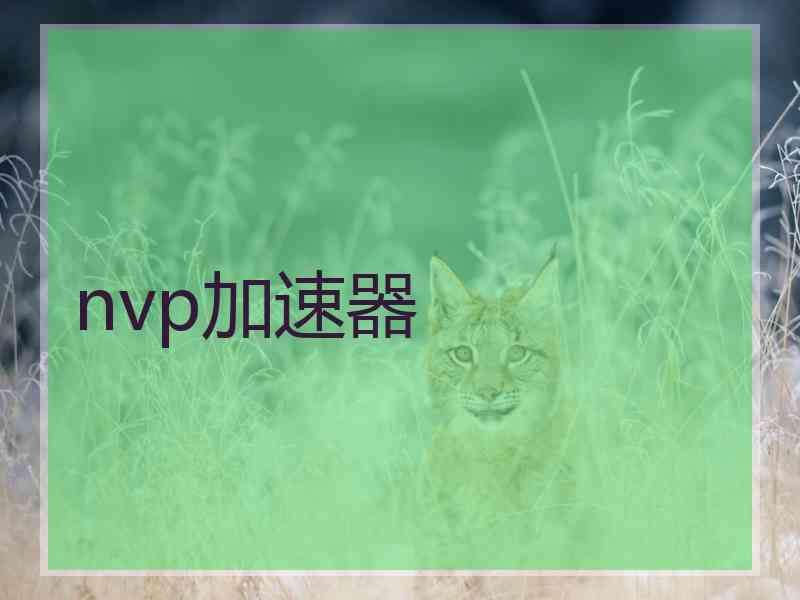 nvp加速器
