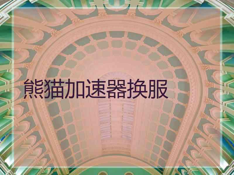 熊猫加速器换服