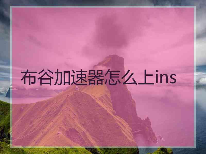 布谷加速器怎么上ins