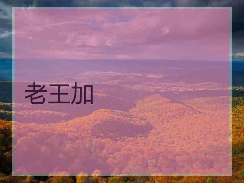老王加