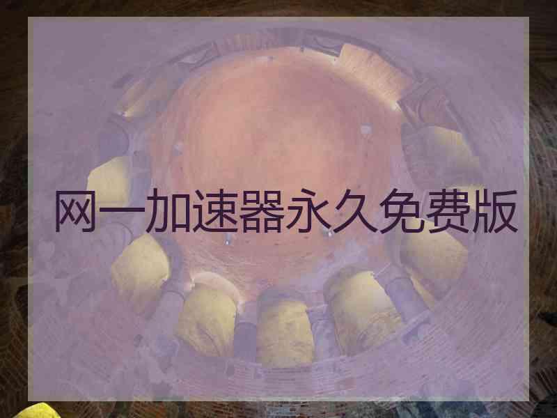网一加速器永久免费版
