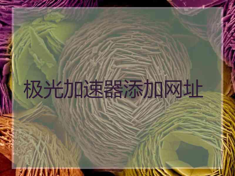 极光加速器添加网址