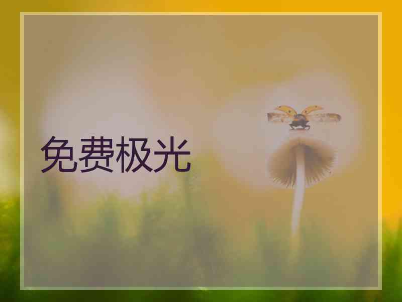 免费极光