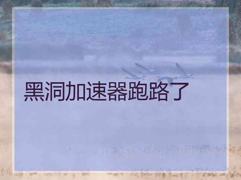 黑洞加速器跑路了