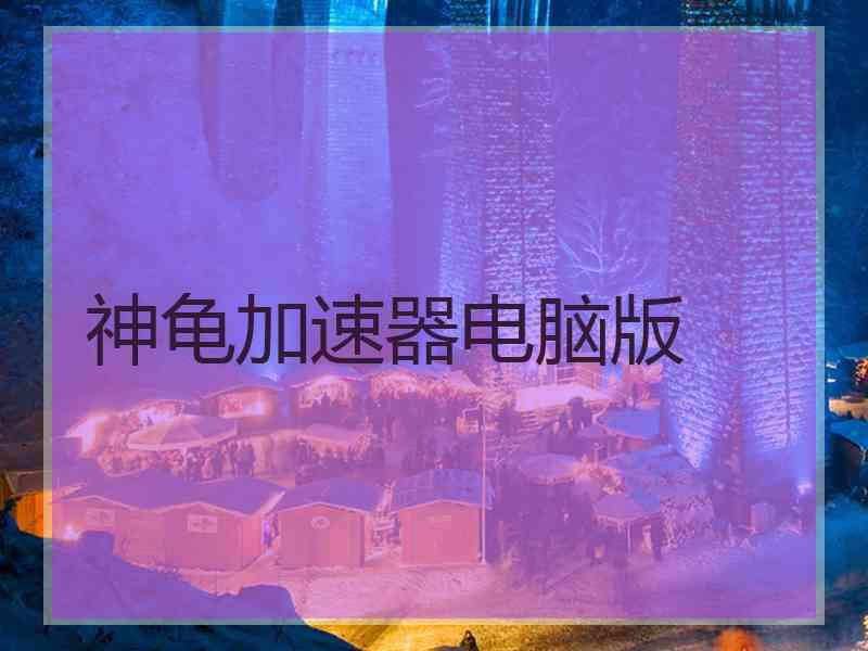 神龟加速器电脑版